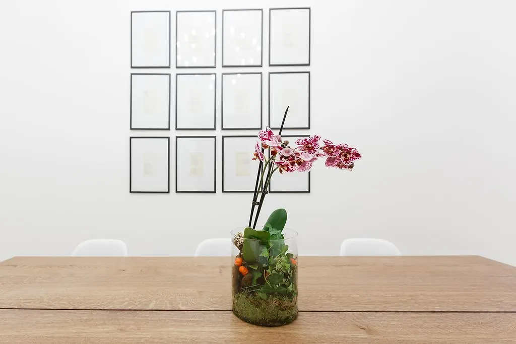 Modern Comfort, Poetic Charm 로마 0*,
